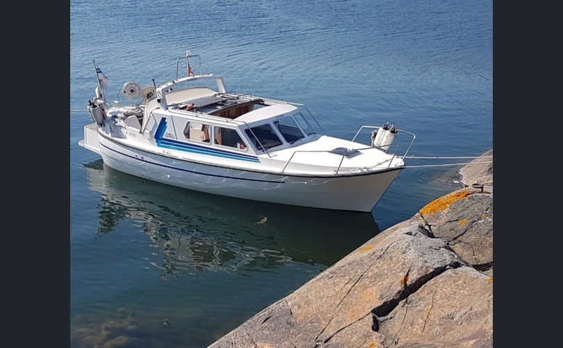 Albatross Flying 871-kuva-1